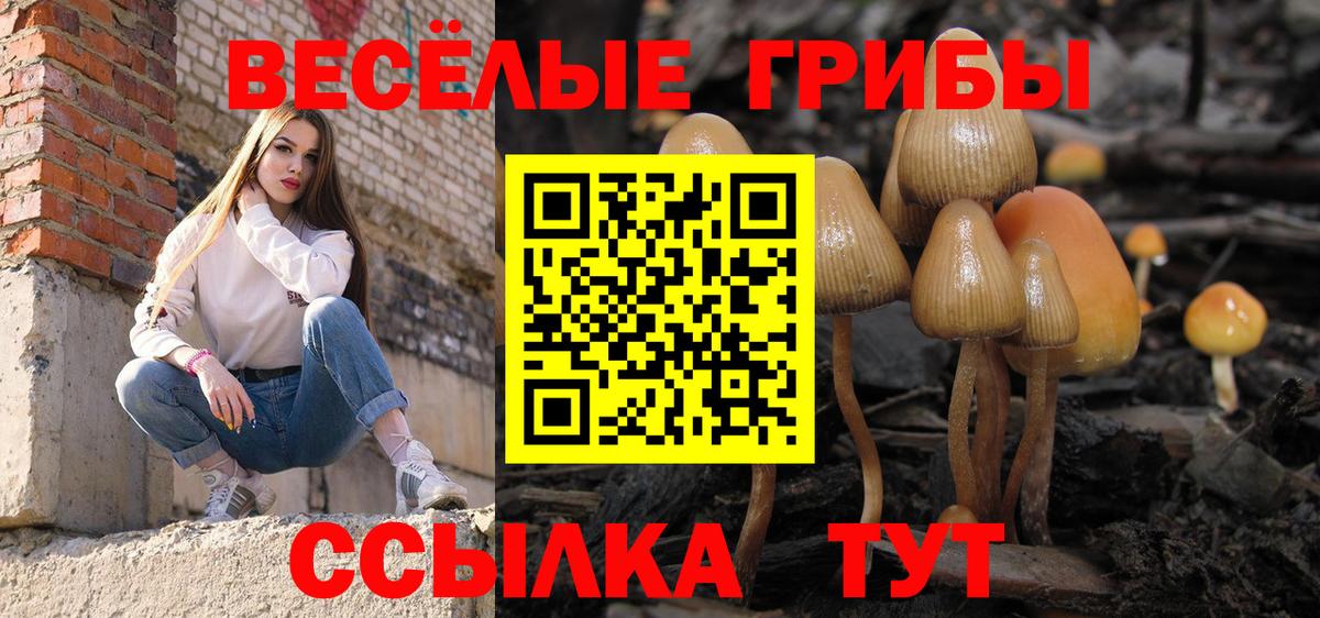 Галлюциногенные грибы Magic Shrooms Куйбышев