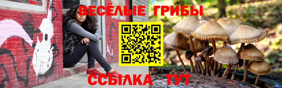 Псилоцибиновые грибы Psilocybine cubensis  Псилоцибиновые грибы Psilocybe  Вход с VPN  Куйбышев 